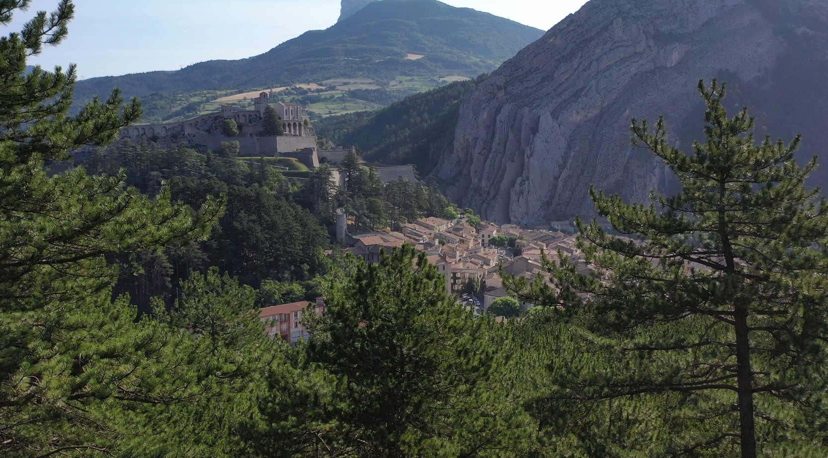 OLD élus