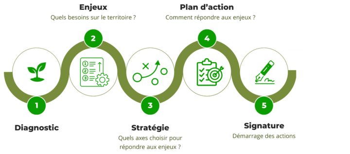 Processus cft